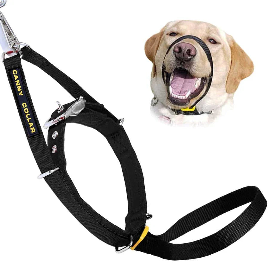 Canny Collar for Dog Training - The Kind, Safe and Comfortable No Pull Dog Collar, Train Your Dog Not to Pull on a Leash - Easy to Use Dog Training Headcollar for Enjoyable Walks - Black