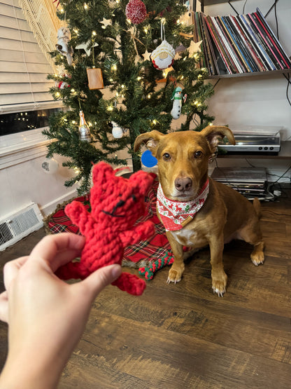 Barkwow Christmas Gift Set Box for Small Dogs