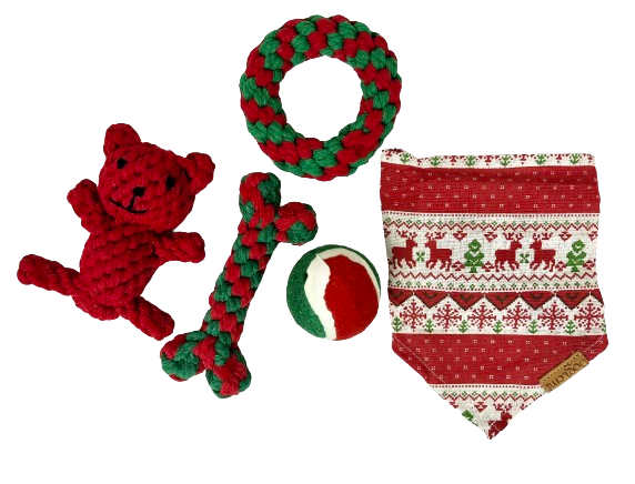 Barkwow Christmas Gift Set Box for Small Dogs Main image