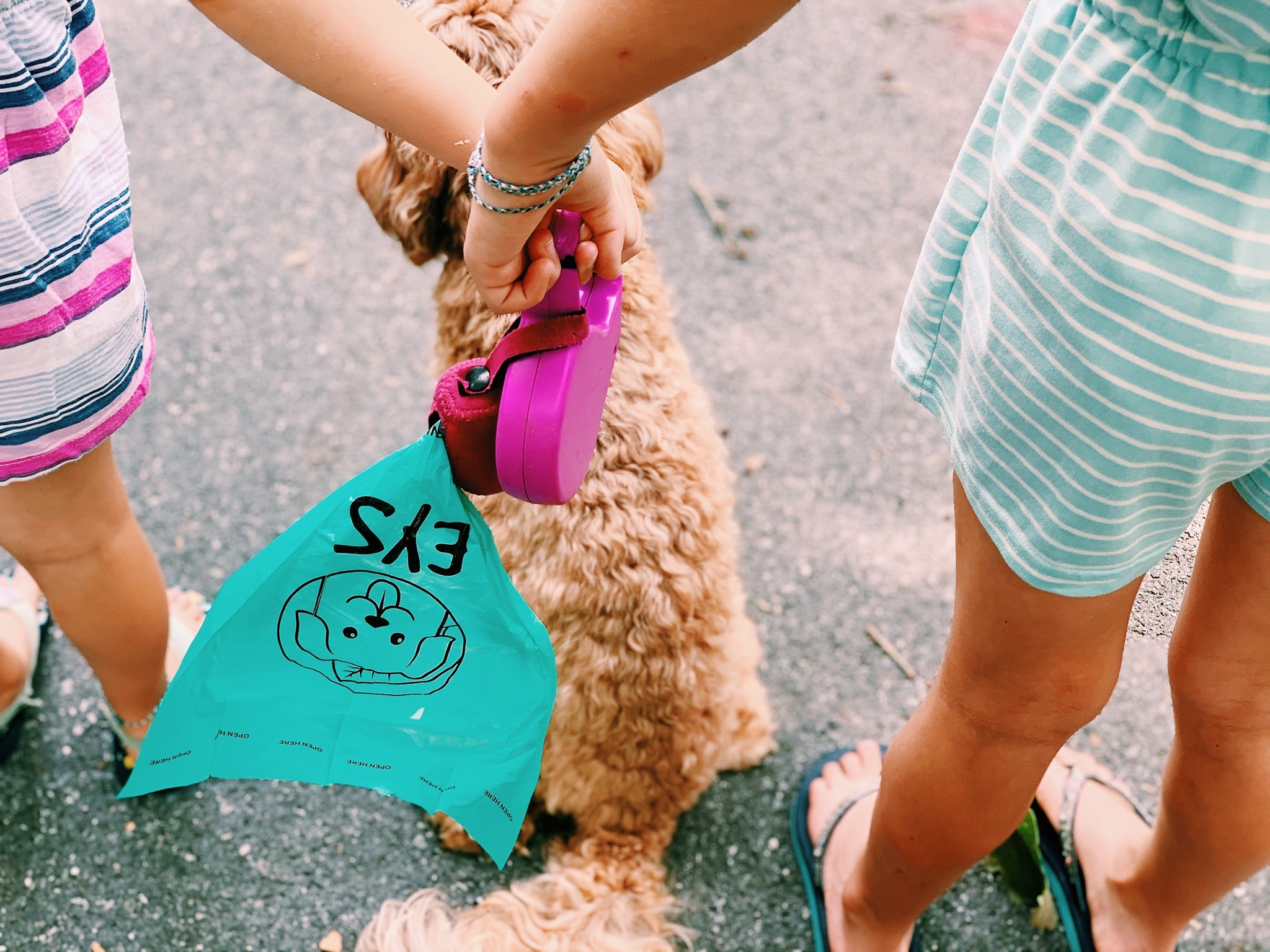 E Y S eco-friendly Dog Poop Bags Lavender-Scented Secondary image
