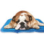 Green Pet Cooling Mat for Summer