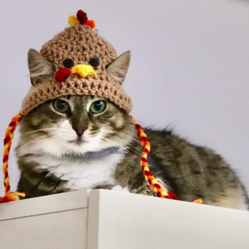 Halloween Cat Dog Knitted Pet Hat Main image