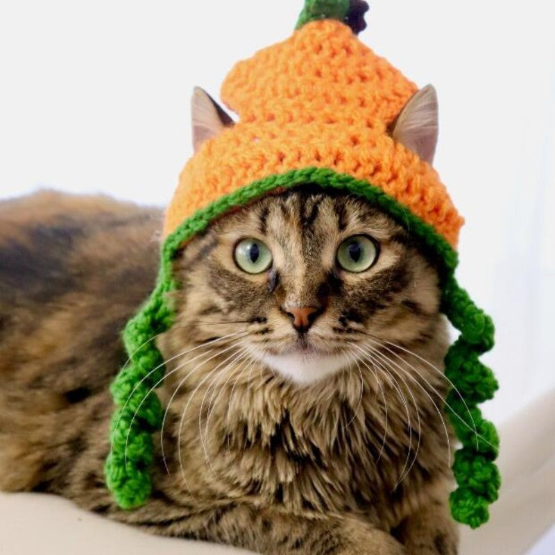 Halloween Cat Dog Knitted Pet Hat