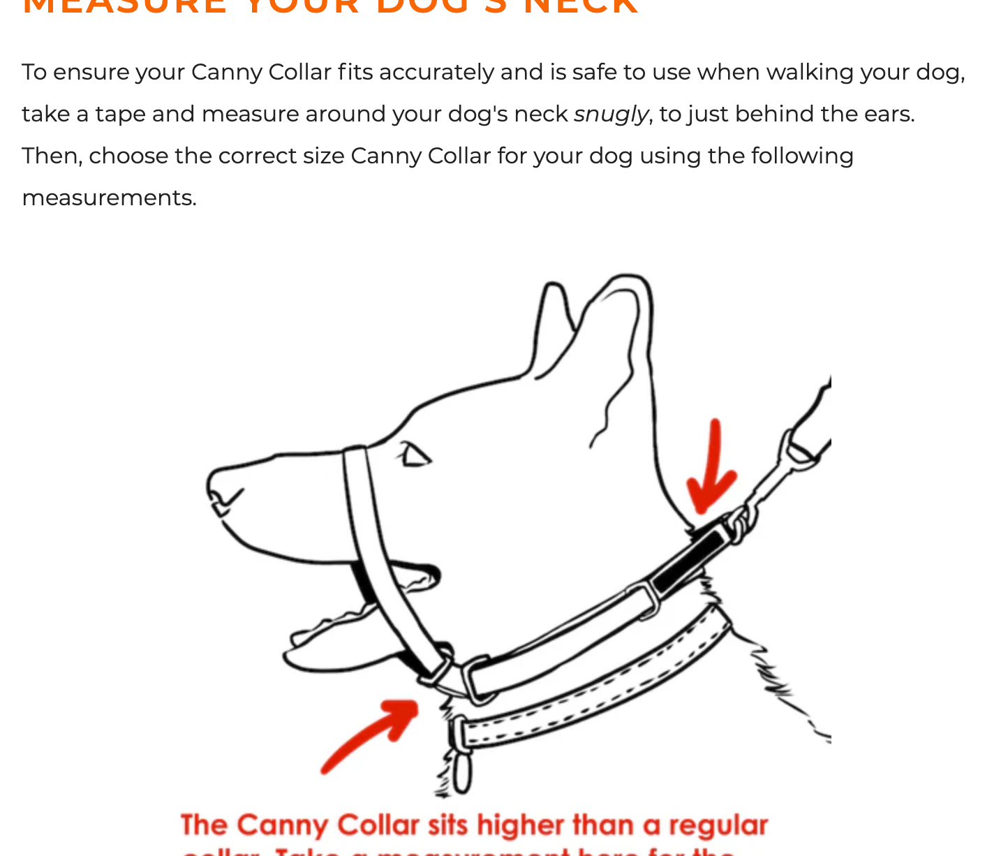 Canny Collar for Dog Training - The Kind, Safe and Comfortable No Pull Dog Collar, Train Your Dog Not to Pull on a Leash - Easy to Use Dog Training Headcollar for Enjoyable Walks - Black