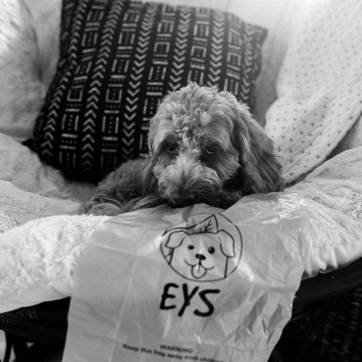 E Y S  Lavender-Scented Eco-Friendly  Dog Poop Bags