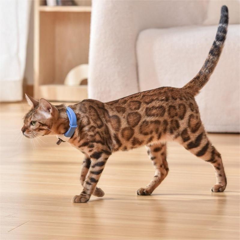 Barkwow Self-Play Cat Collar with Built-in Laser Teaser: The Ultimate Feline Entertainment