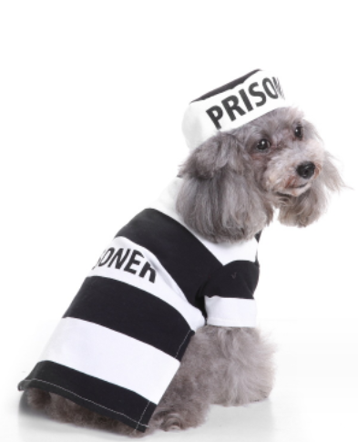 Woofylove Prison Suit  Costume - Iconic Pet Knitted Sweater for the Festive Season