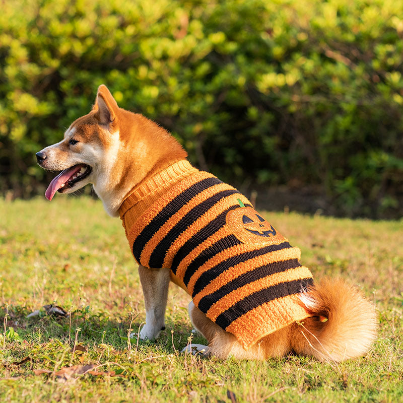 Woofylove Halloween Cozy Leisure Sweater for Dogs: A Spooky Yet Warm Costume for Your Furry Friend