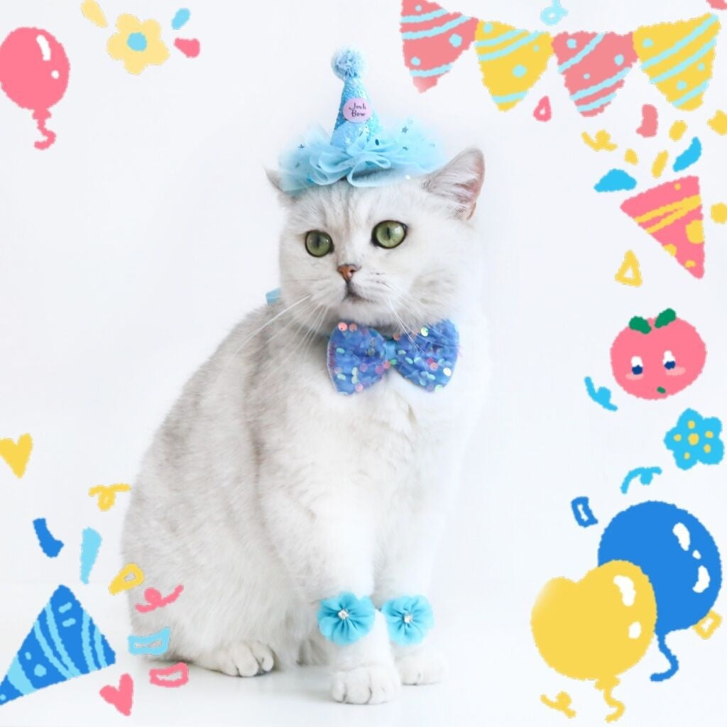 Barkwow Cat Birthday Party Suit - Adorable Hat, Bow Tie & Flower Set for Cat Celebrations Main image