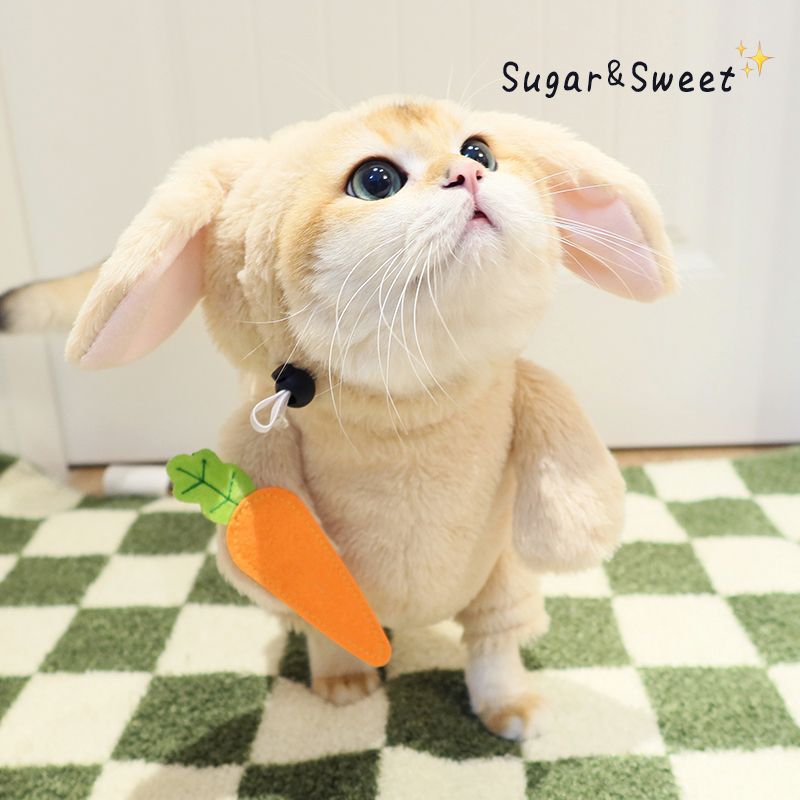 Woofylove Hilarious Hop & Panda Play: Bunny Costume with Panda Accents - Fun-Filled Cat Attire