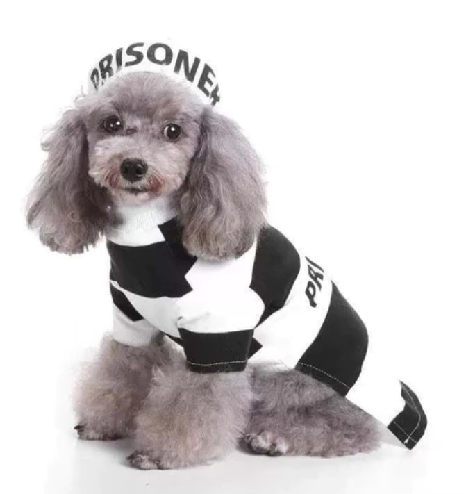 Woofylove Prison Suit  Costume - Iconic Pet Knitted Sweater for the Festive Season