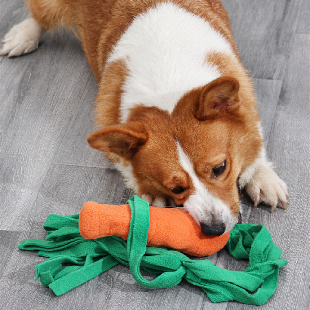 Pet Dog Toy Vegetables And Carrots Main image