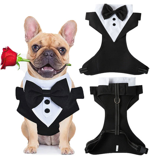 Woofylove Pet Tuxedo Dress and Leash - Dapper Chest Strap Suit for Nuptial Paws