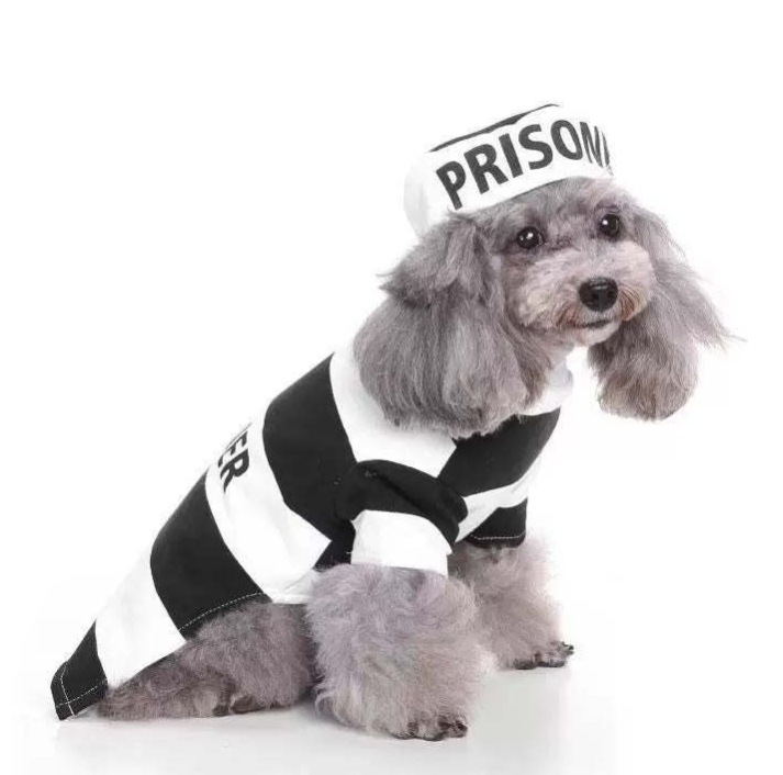 Woofylove Prison Suit  Costume - Iconic Pet Knitted Sweater for the Festive Season