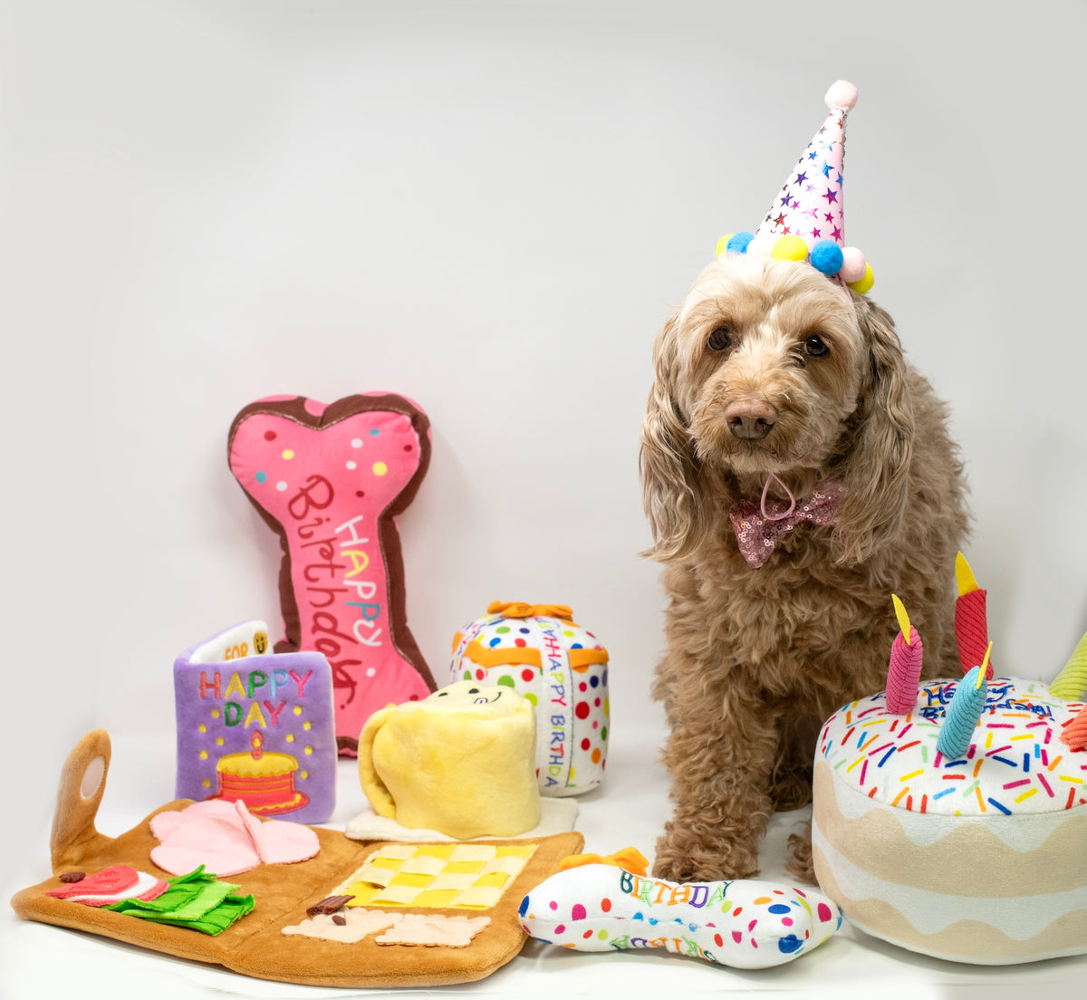 Barkwow Birthday Box: Squeaky toys, hat, bandana, bow, banner, and FREE custom dog tag Main image