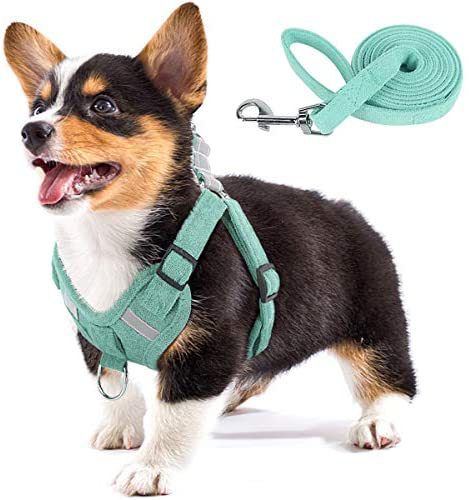 Woofylove Velvet Dog Strap - Reflective, Breathable Dog Rope for Ultimate Comfort and Safety