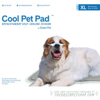 Green Pet Cooling Mat for Summer