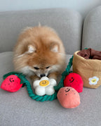 Strawberry Potted Plant Set Dog Toy ( Squeakers , Tug of War and Hide & Seek Play)