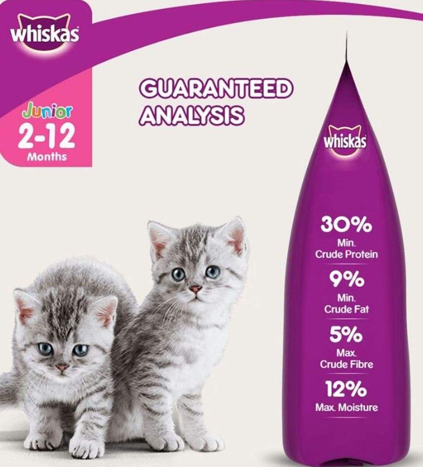 Whiskas Dry Cat Food for Mother and Babycat, Ocean Fish Flavour