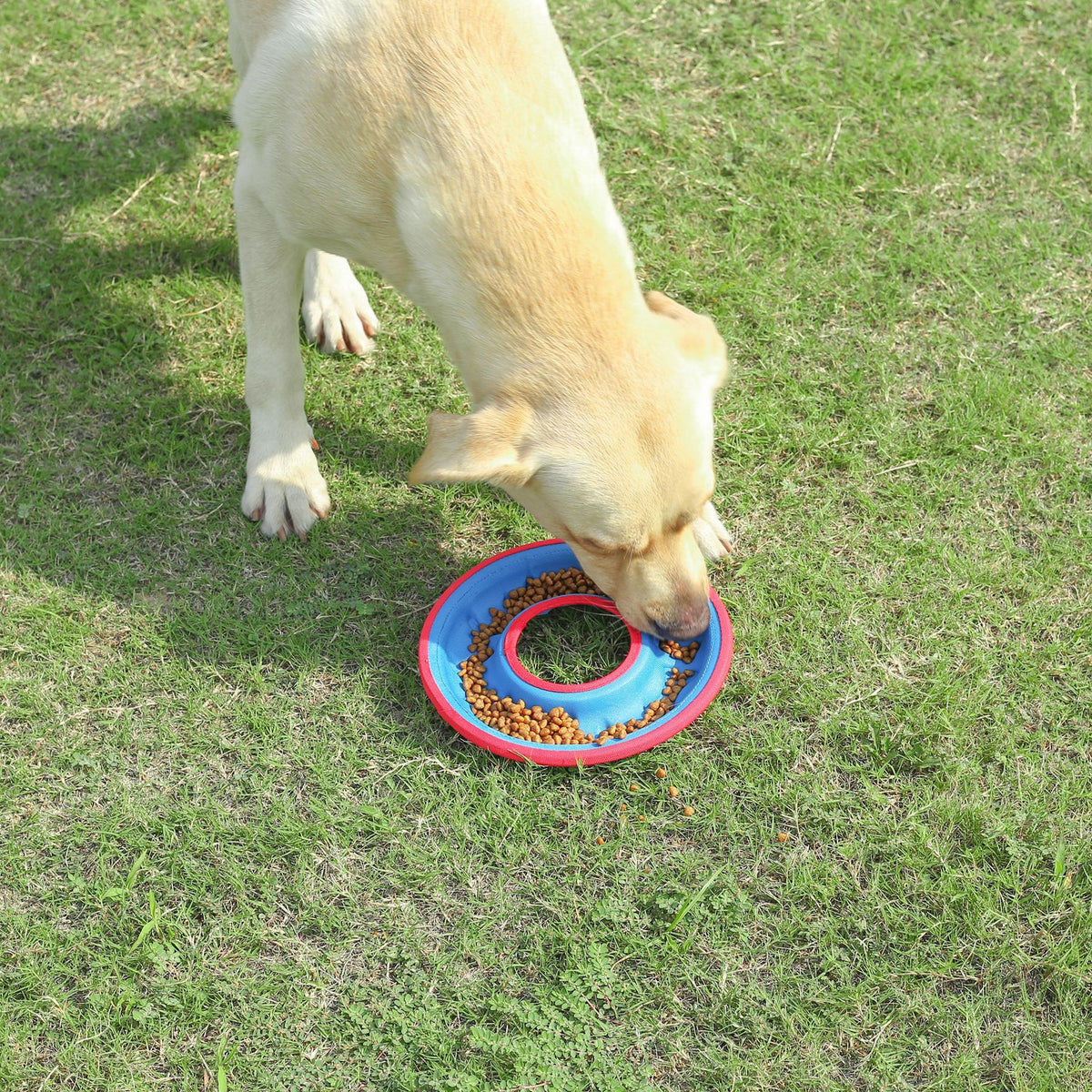 Dog Flying Disc and Feeding Bowl  Main image