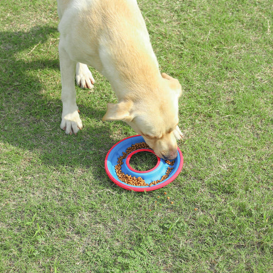 Dog Flying Disc and Feeding Bowl 