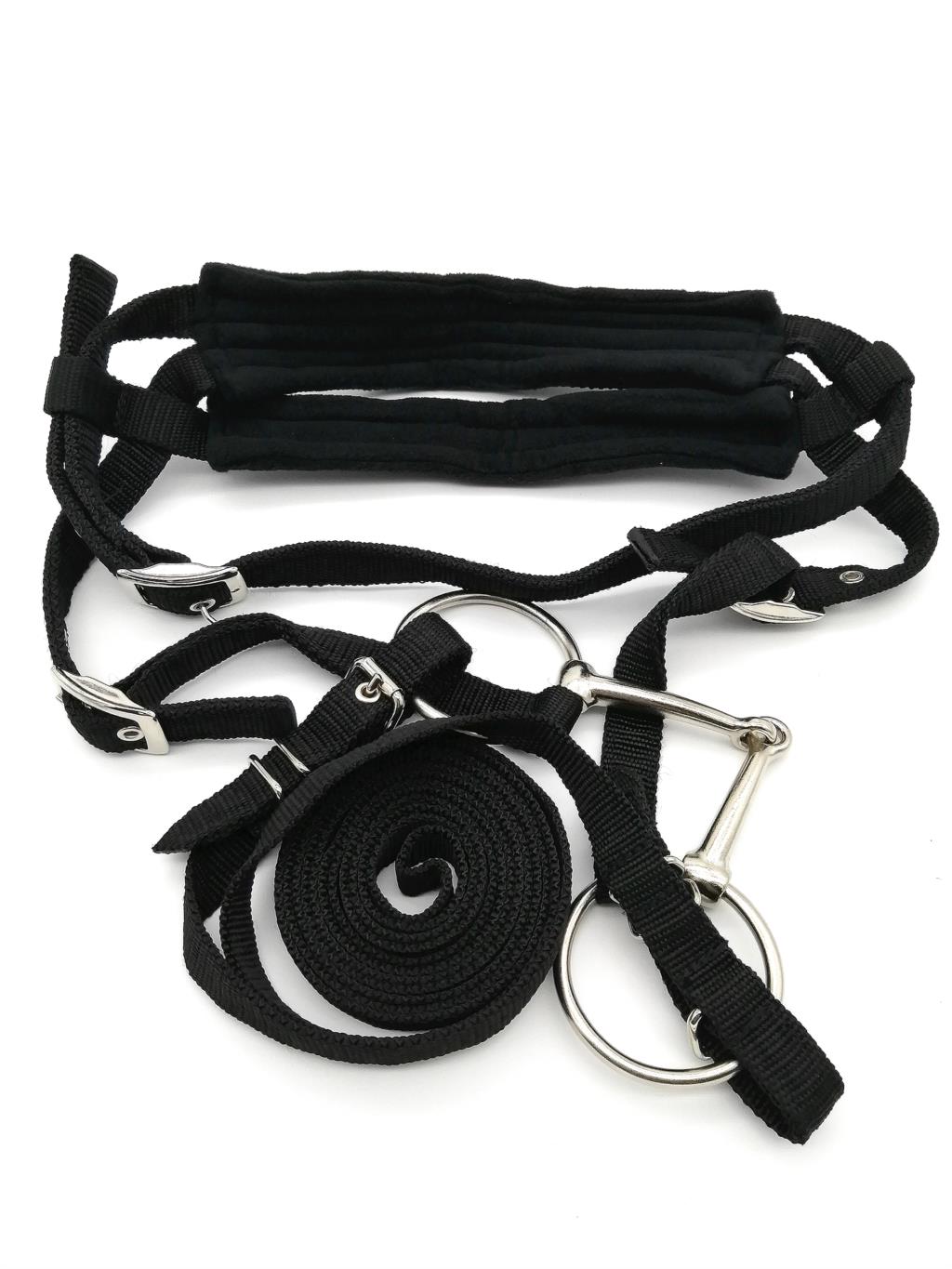 Reins horse bridle