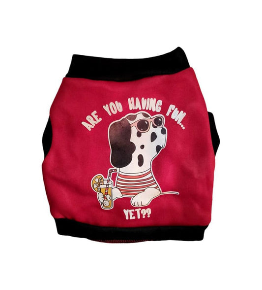 Aving Fun Yet Soft & Warm Sweater For Dogs