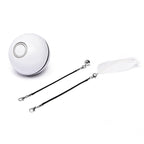Barkwow  LED Laser Funny Cat Teasing  Ball