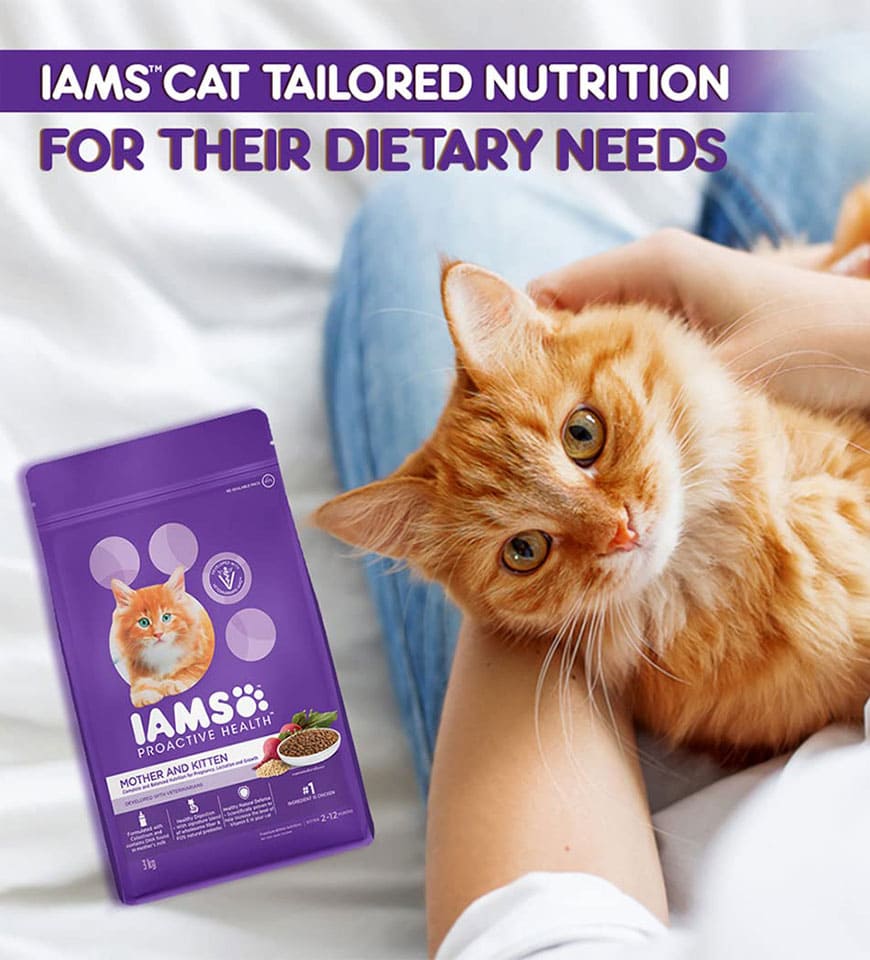 IAMS Mother & Kitten Dry Cat Food with Chicken