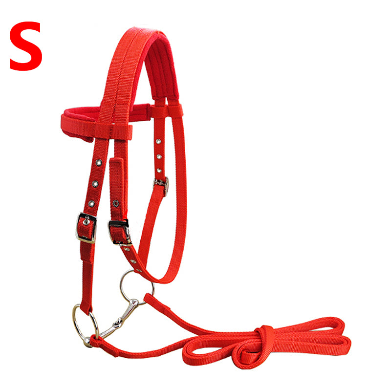 Reins horse bridle