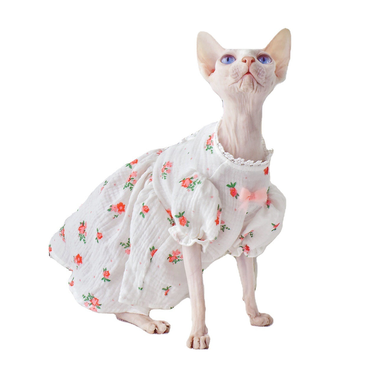 Barkwow Botrytis - Sphynx Hairless Cat Summer Skirt