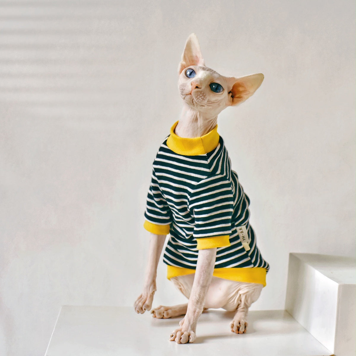 Barkwow, Sphynx Hairless Cat Clothing, high-quality fabric, lightweight, comfortable, sensitive skin, protection, stylish jumpsuits, hoodies, shirts, snug fit, soft, breathable, all seasons, stretchable material, secure fit, colors, patterns, styles, individual preferences, fashion statement. Main image