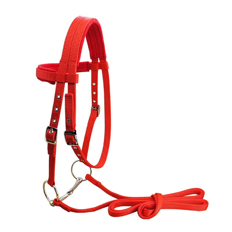 Horse bridle Reins horse bridle Horse riding equipment Horse headgear Horse reins Durable horse bridle Flexible horse reins Horse riding gear Horse bridle for sale High-quality horse bridle Comfortable horse bridle