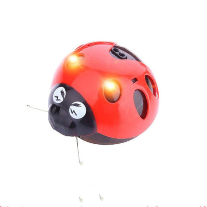 Barkwow Cat Chasing Toy (Ladybug )