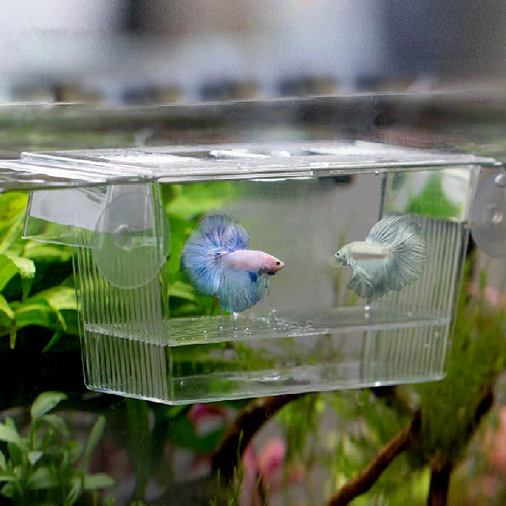 Acrylic Aquarium Fish Tank Incubation Box Main image