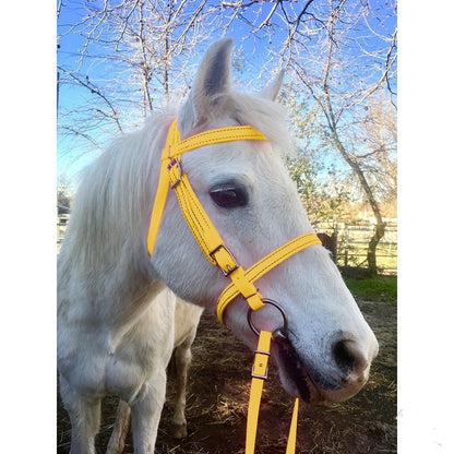 Halter Horse Lead Ropes Cross-border Source Horse Rein