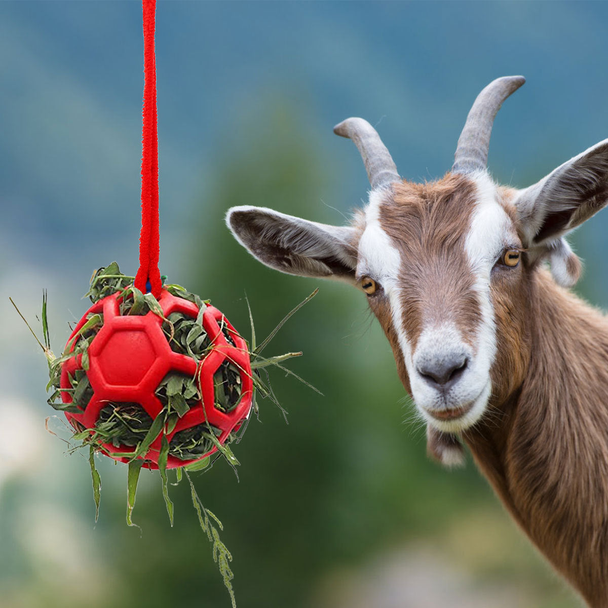 Hanging Ball Hay Feeding Horse Toy