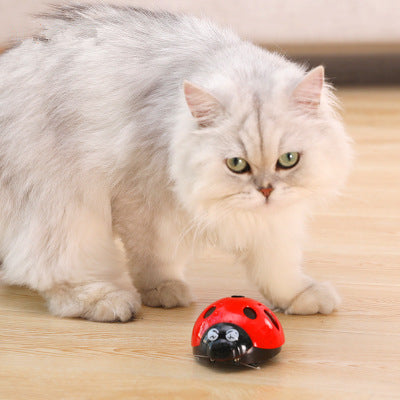 Barkwow Cat Chasing Toy (Ladybug )