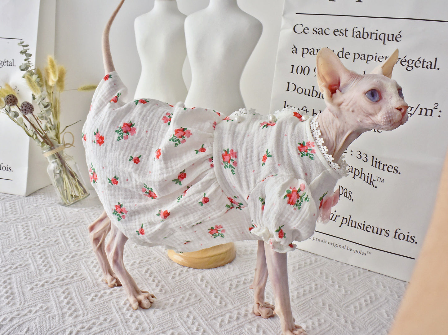 Barkwow Botrytis - Sphynx Hairless Cat Summer Skirt