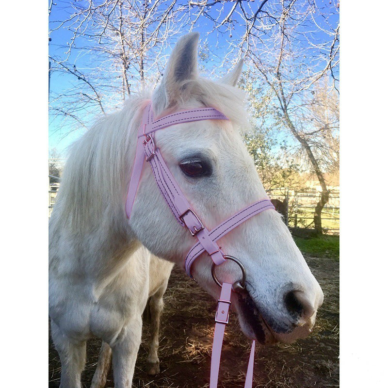 Halter Horse Lead Ropes Cross-border Source Horse Rein