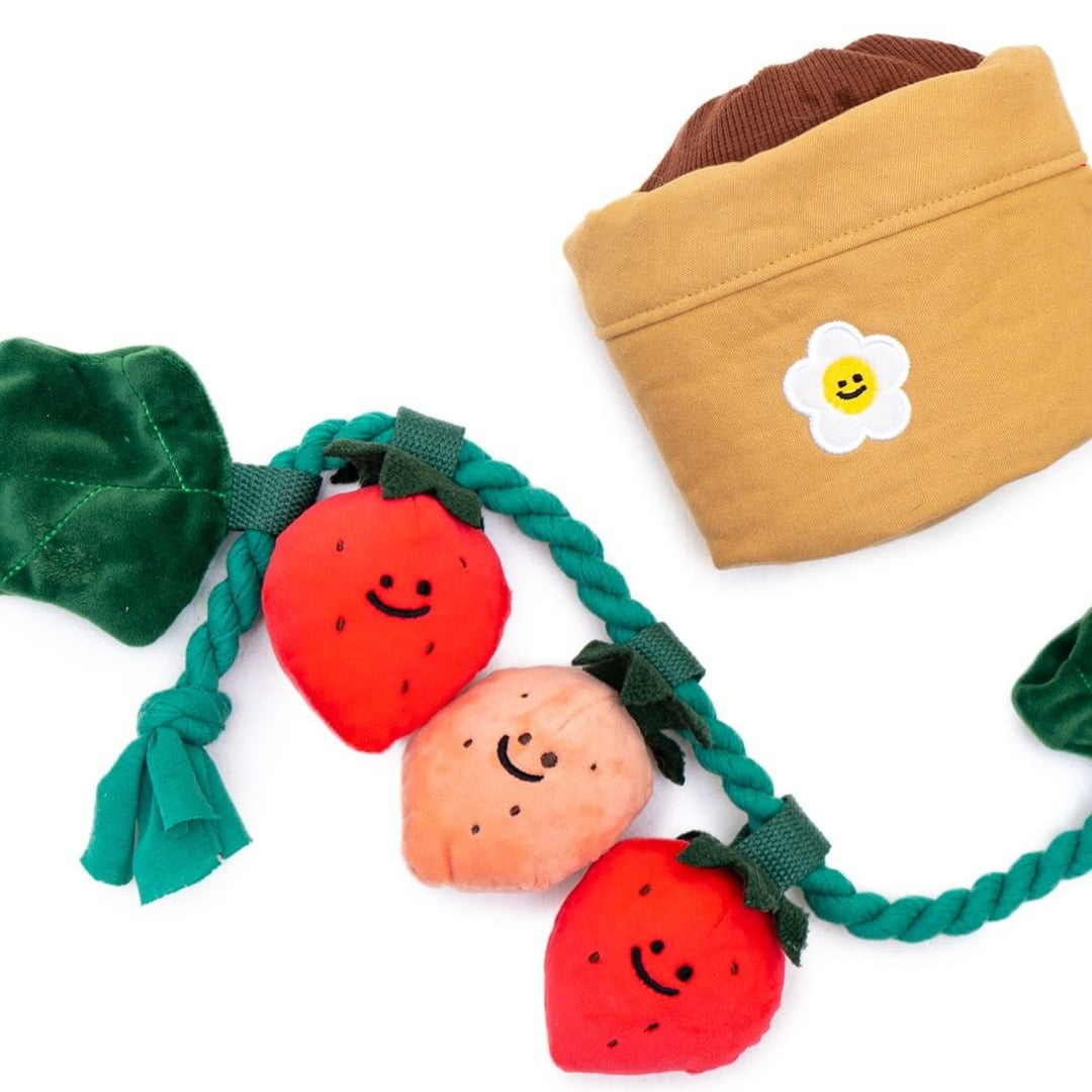 Strawberry Potted Plant Set Dog Toy ( Squeakers , Tug of War and Hide & Seek Play) Secondary image