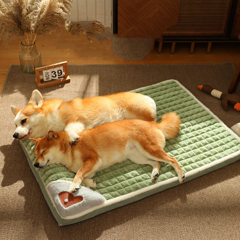 dog bed with pillow