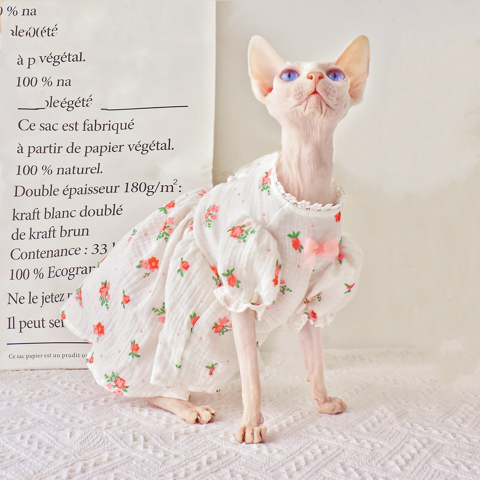 Barkwow Botrytis - Sphynx Hairless Cat Summer Skirt Secondary image