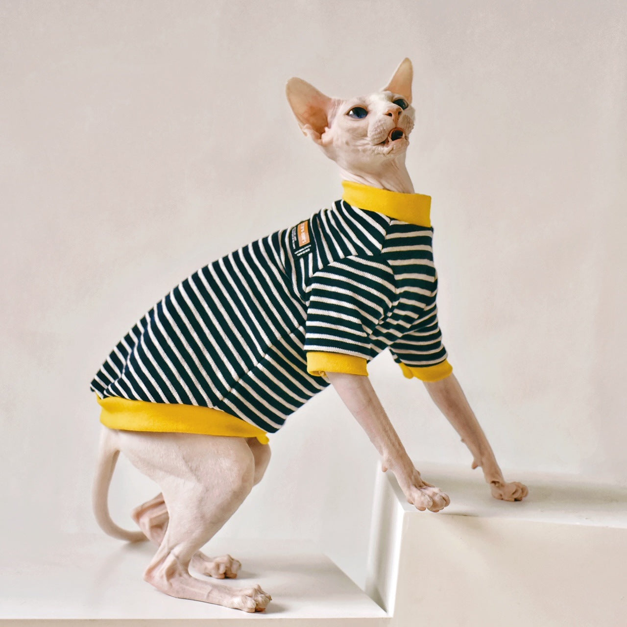 Barkwow  Sphynx Hairless Cat Clothing