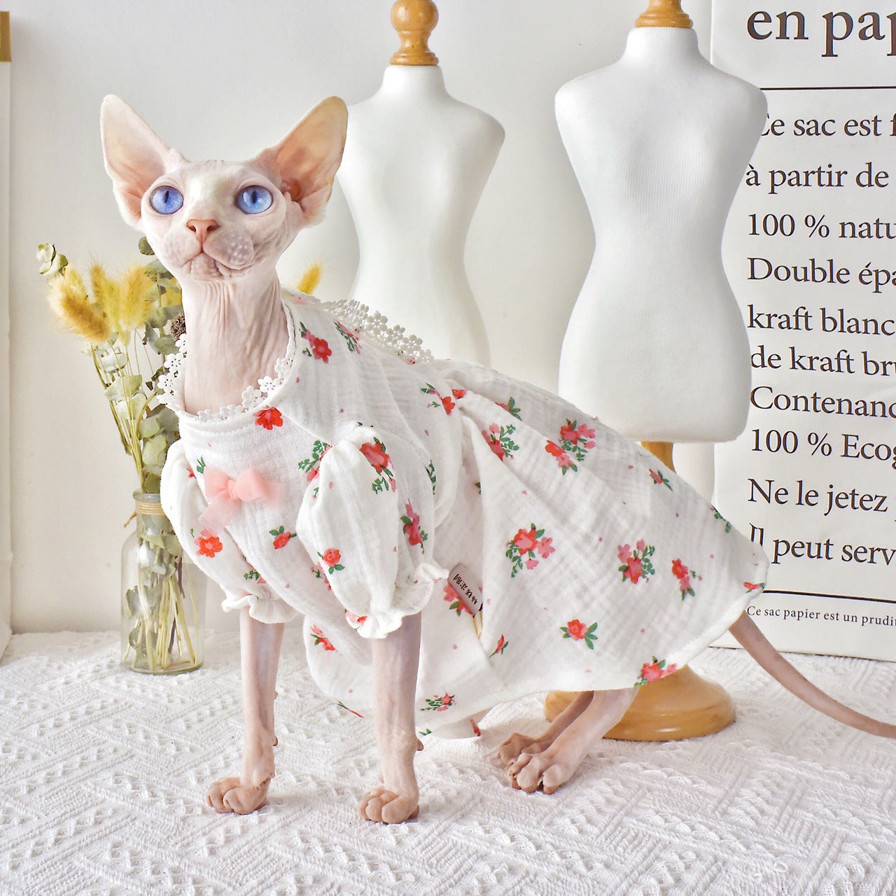 Barkwow Botrytis - Sphynx Hairless Cat Summer Skirt