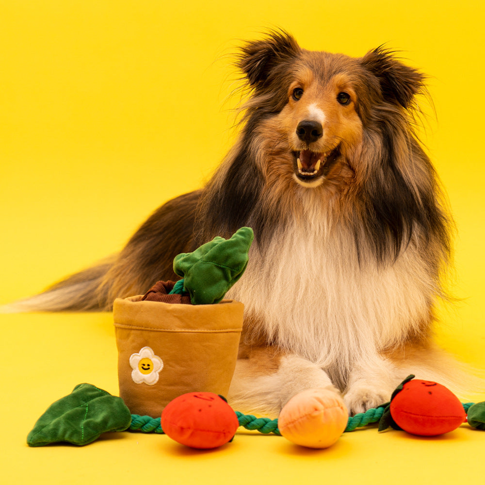 Strawberry Potted Plant Set Dog Toy ( Squeakers , Tug of War and Hide & Seek Play) Main image
