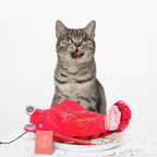 Barkwow Auto Bouncing Lobster/Shrimp Cat Toy