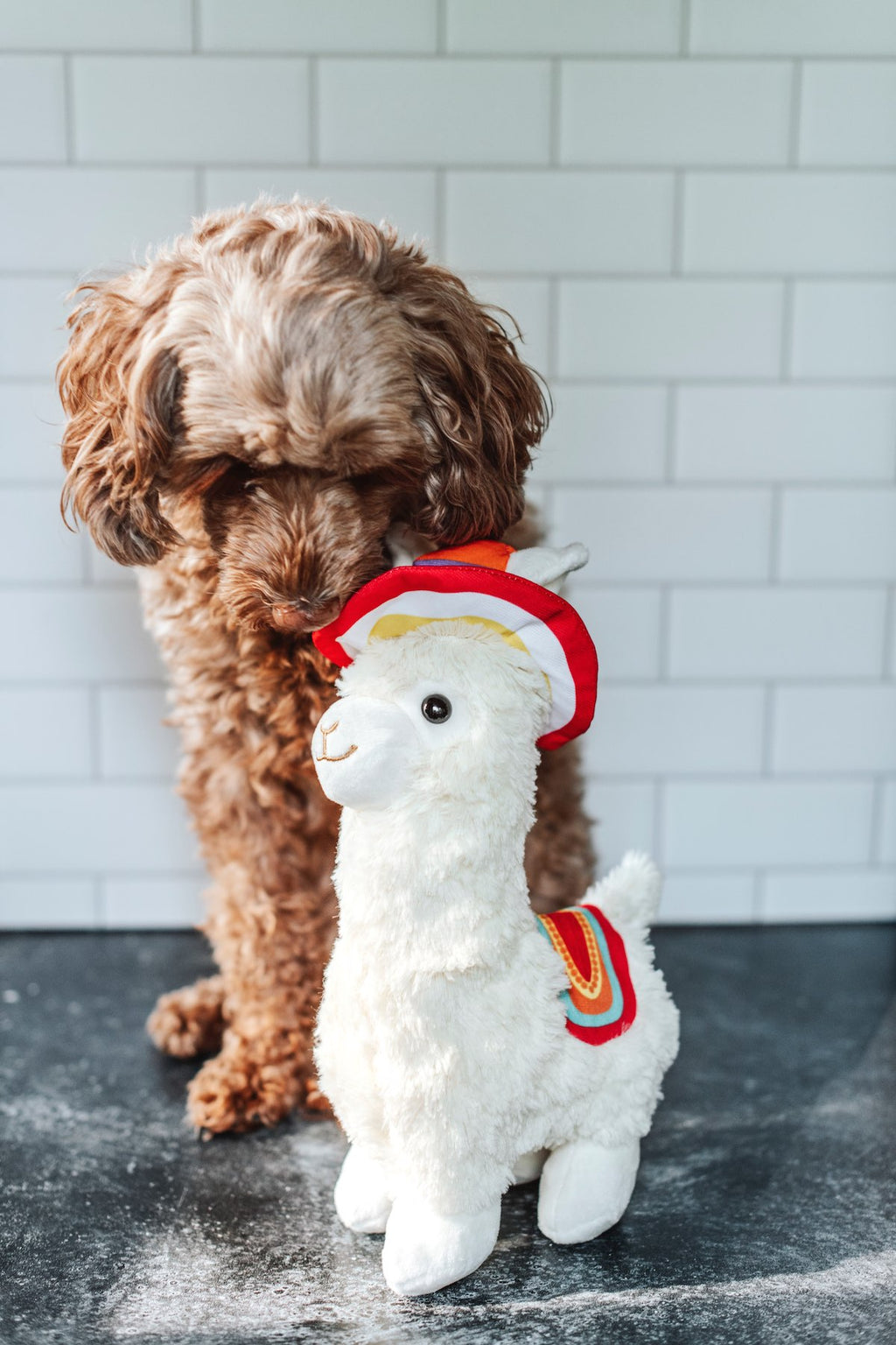 Barkwow Charitable Alpaca Llama Plush Toy for Dog/Cat